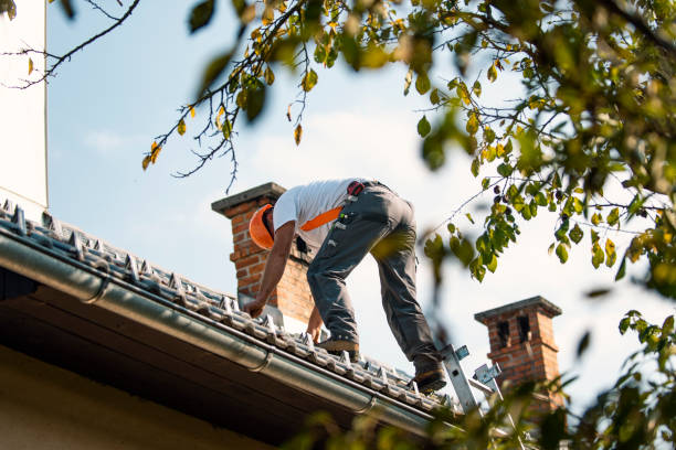 Best Storm Damage Roof Repair  in Trowbridge Park, MI