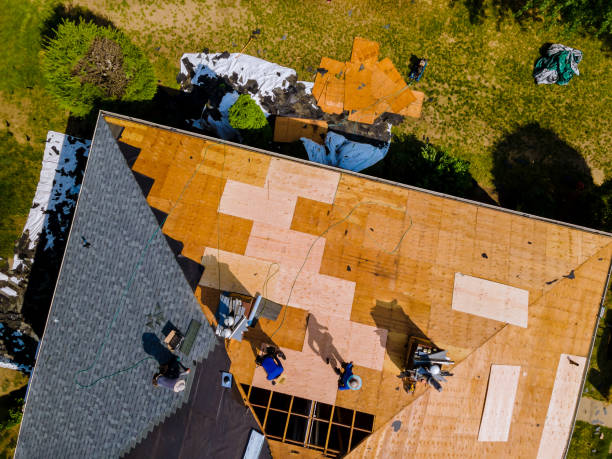 Best Shingle Roofing Installation  in Trowbridge Park, MI