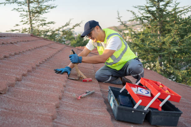 Best New Roof Installation  in Trowbridge Park, MI