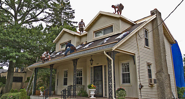 Best Roof Inspection Near Me  in Trowbridge Park, MI