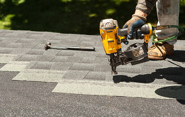 Best Roof Leak Repair  in Trowbridge Park, MI