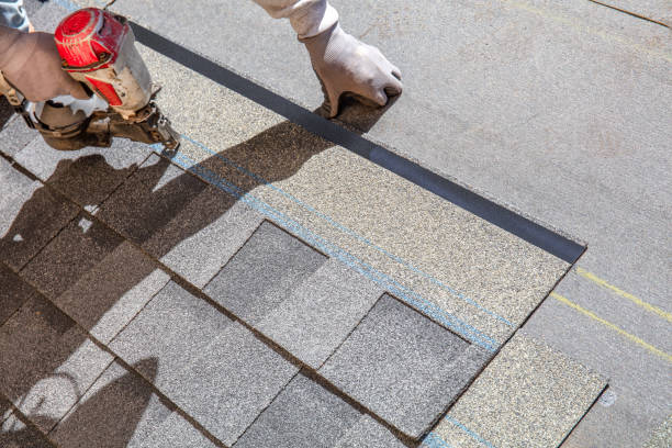 Best Roof Maintenance Services  in Trowbridge Park, MI