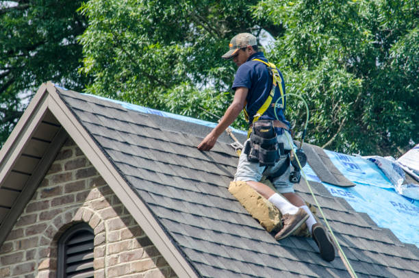 Best Gutter Installation and Roofing  in Trowbridge Park, MI